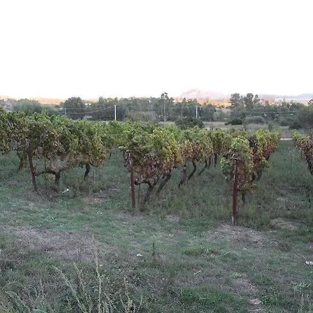 Sa Inza Alloggio per agriturismo *