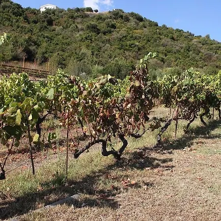 Farm stay Agriturismo Sa Inza *