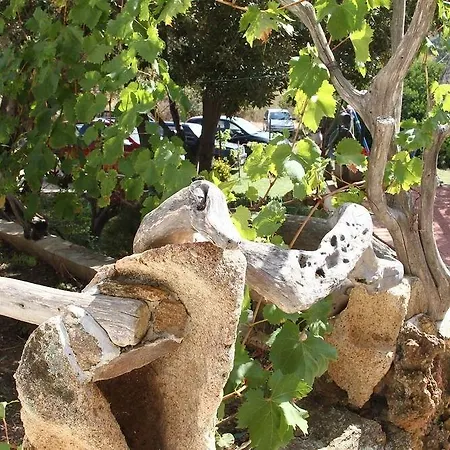 Agriturismo Sa Inza *