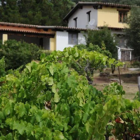 Farm stay Agriturismo Sa Inza *