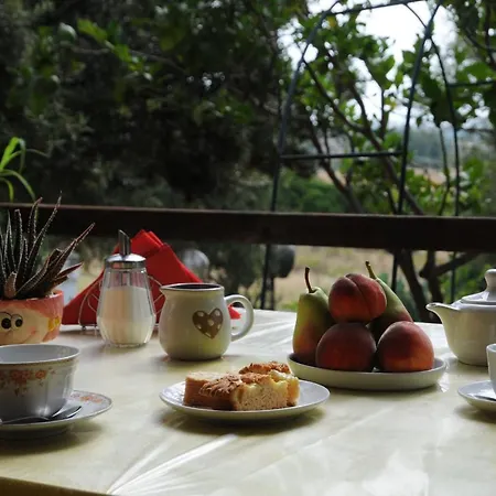 Agriturismo Sa Inza Torpe