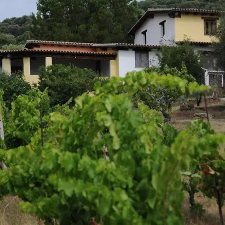 Agriturismo Sa Inza Torpe