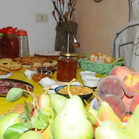 Agriturismo Sa Inza Farm stay Torpe